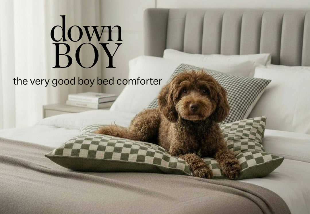Pets that love your bed too!