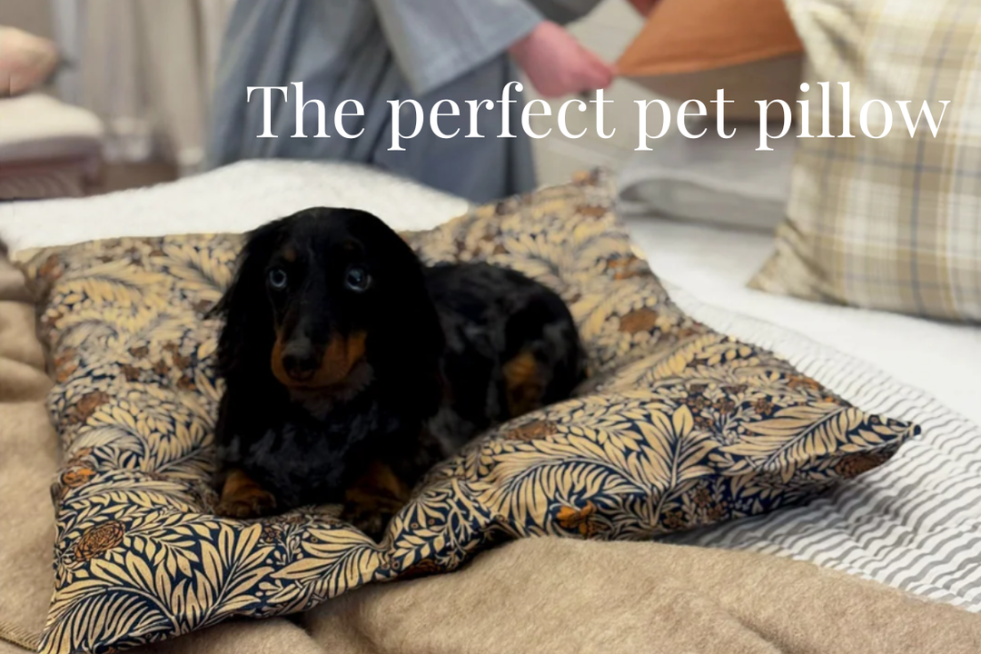Beautiful Bedding for Dogs Who Sleep on the Bed