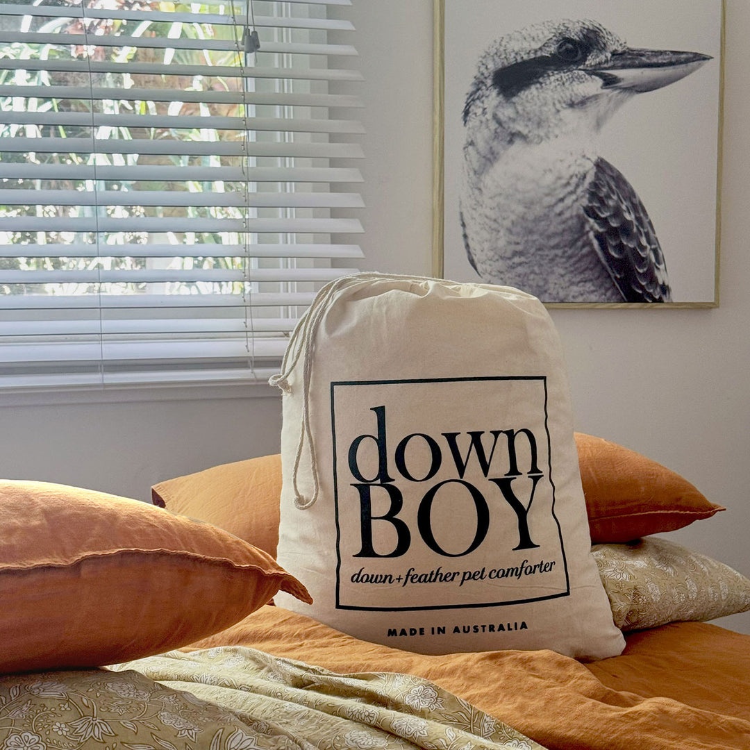 Canvas bag labeled 'down BOY' on a bed with pillows and a bird painting in the background