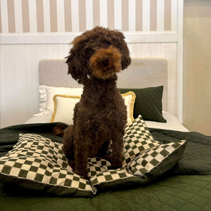 Down Boy Linen case Duo