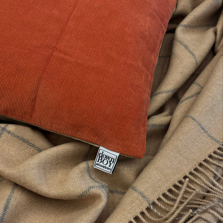 Down Boy cotton corduroy cover clay