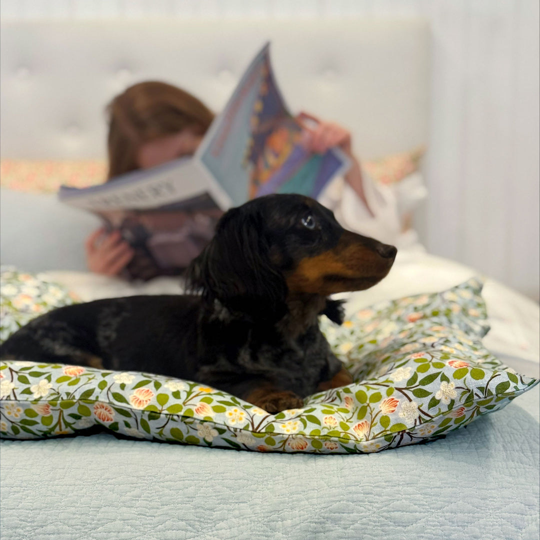 Down Boy Linen case Clover